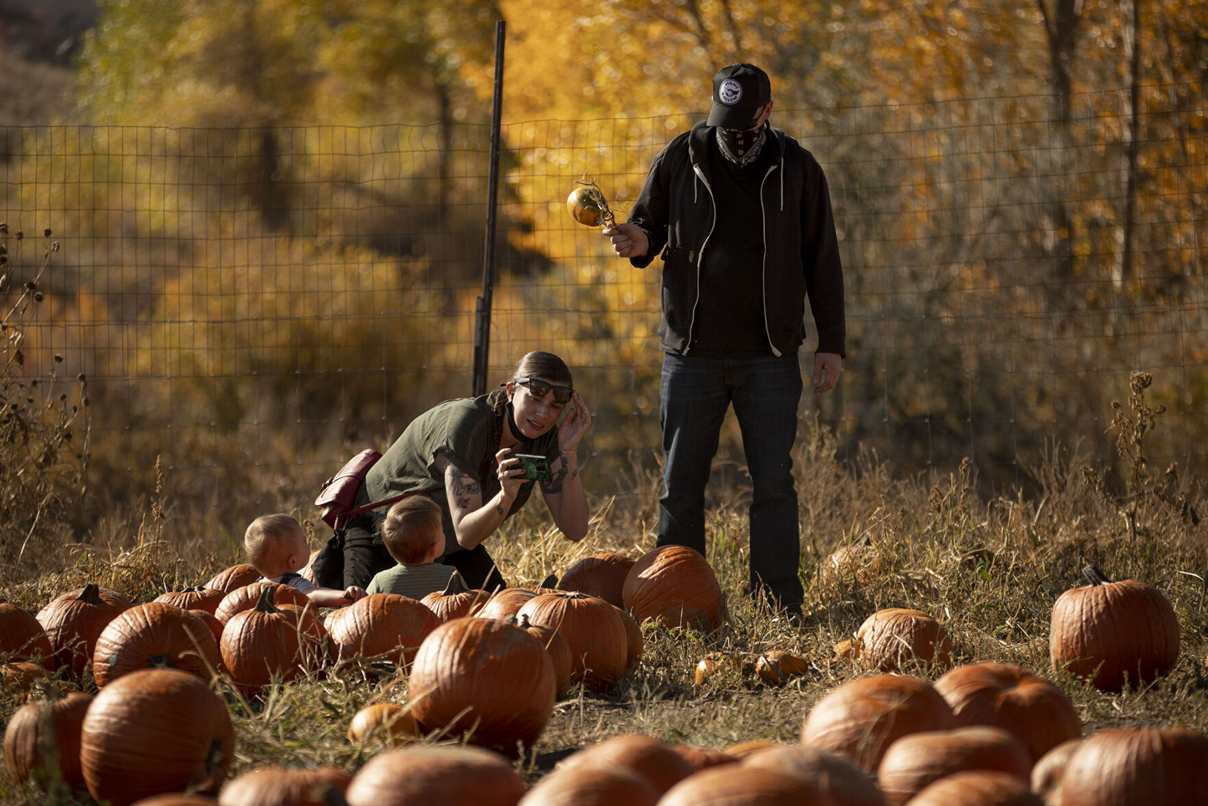 101120-news-pumpkins 06.jpg